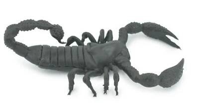 Scorpion, Black, Solid Rubber, Arachnids, Realistic, Figure, Model, Replica, Toy, Kids, Educational, Gift,           7"        F1974 B210