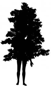 tree bark figure woman fantasy human art 
