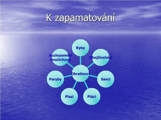 PPT - Strunatci PowerPoint Presentation, free download - ID:5151594