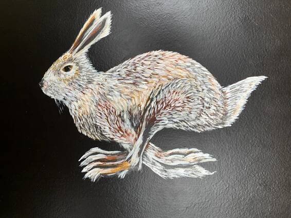 Diptych Davis Mountain Cottontail (Sylvilagus robustus- SGCN) - Giddyup Art Studio