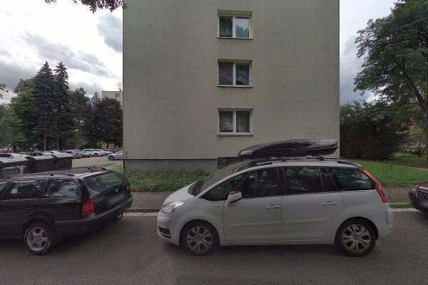 Kajmánek z.s. foto 1