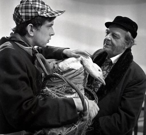 Andersenovy pohádky - Z filmu - Jaromír Hanzlík, Otomar Korbelář