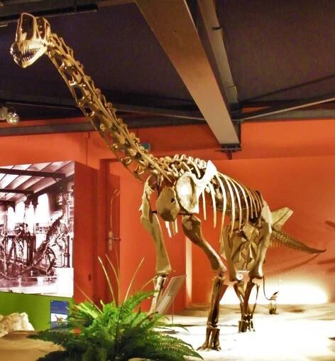 Europasaurus