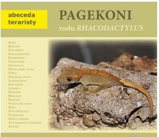 PAGEKONI RODU RHACODACTYLUS