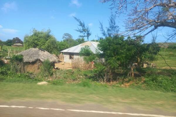 Hotel Jumbo Club Watamu Beach, Keňa Watamu - 28 990 Kč Invia