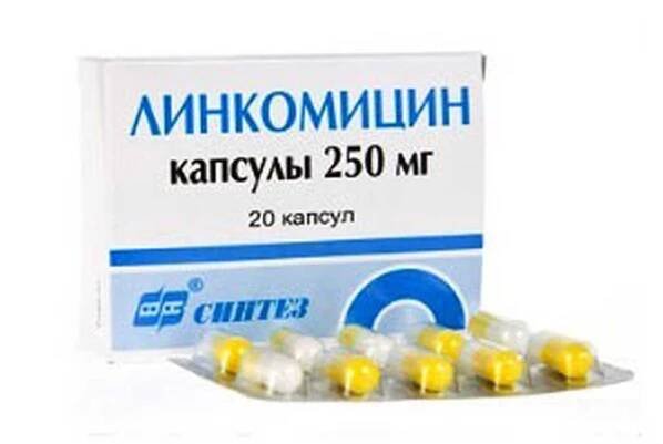 Antibiotika pro tlumivky / Flux | Užitečné informace a tipy na péči o sebe. Zdraví, výživa a další.
