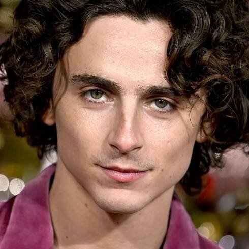 Timothée Chalamet Can Claim to Be Six Feet Tall, Thanks to These Voluminous Curls — See Photos