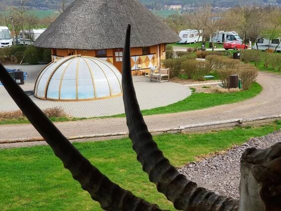 Safari kemp Dvůr Králové nad Labem
