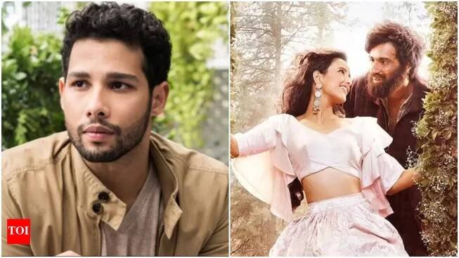Siddhant Chaturvedi talks about being rejected from 'Laila Majnu' audition for looking too young: 'I grew my beard'