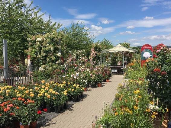 „Gartenträume“ shop and rose sale