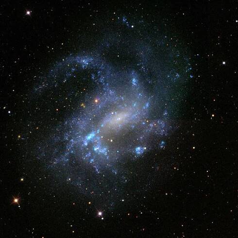 SDSS image of spiral galaxy NGC 4395