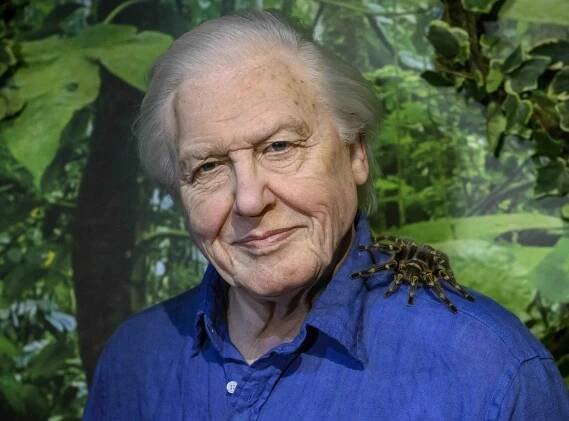 AD MT Attenborough 005