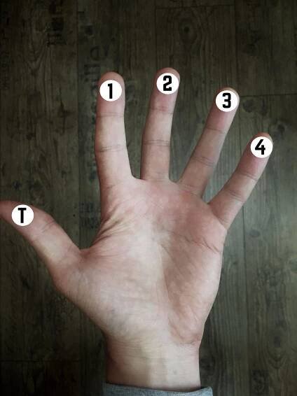 Left Hand Guitar Fingering