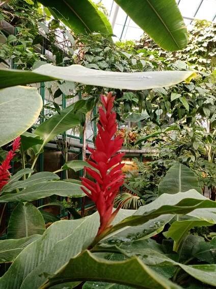Botanická zahrada Liberec | ZŠ Jablonec nad Nisou, 5.května 76