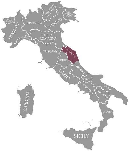 Winery Spotlight: Centanni - Yours Truly, Wine