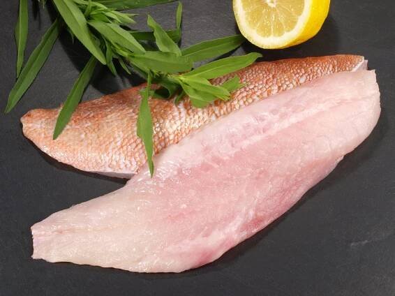 Rotbarschfilet
