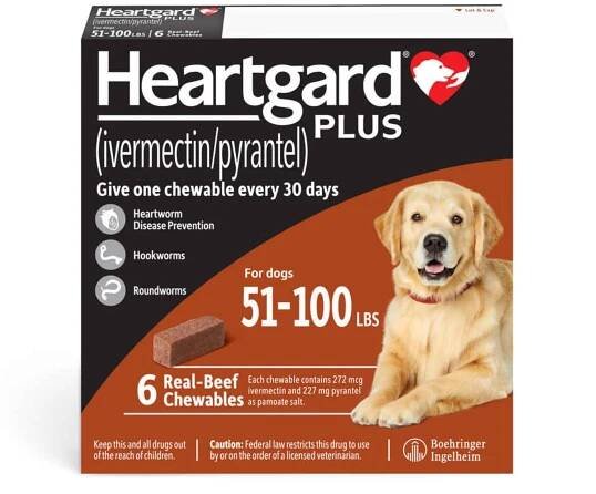 Heartgard Plus Brown For Dogs 51-100 lbs (23-45kg)