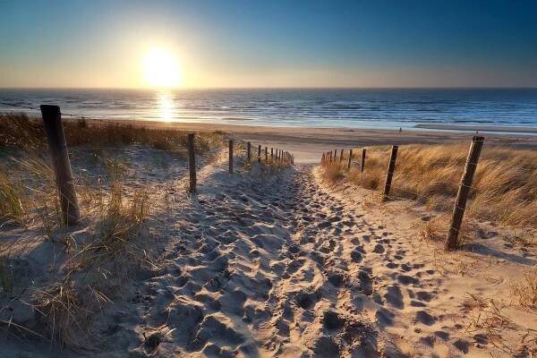 Beach & Dunes in Holland