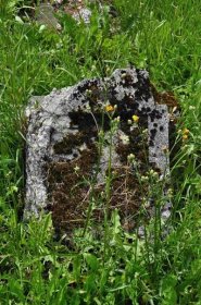 Zdoňov | Detail hřbitova | Databáze historických hřbitovů