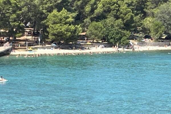 Hotel Naturist Park Koversada Villas, Chorvatsko Istrie - Invia