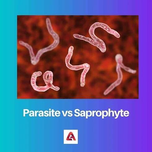 Parazit vs parazitoid