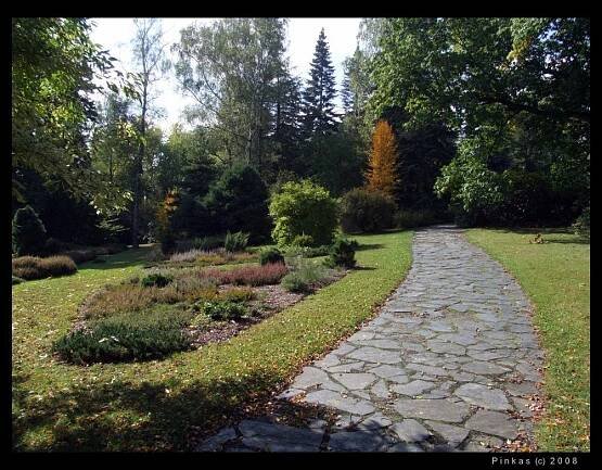 arboretum by JP