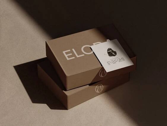 ELORA — Lingerie Brand Identity