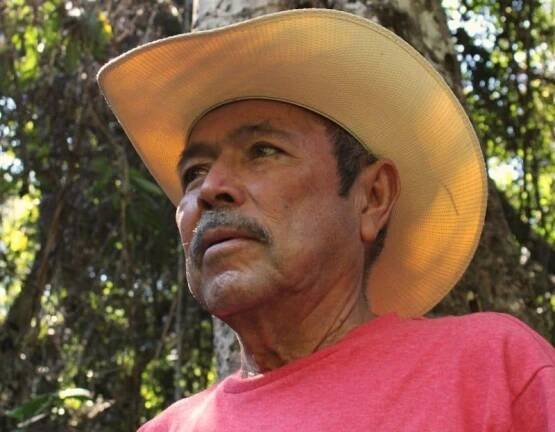 Blood and Ore: Mexican Cartel Violence Silences Mine Opponents | OCCRP