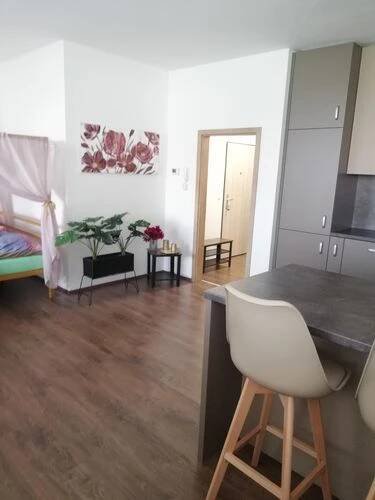 Ubytování v luxusním soukromé apartmánu od 1 200 Kč Bučovice GLAM apartmán Bučovice • Firmy.cz
