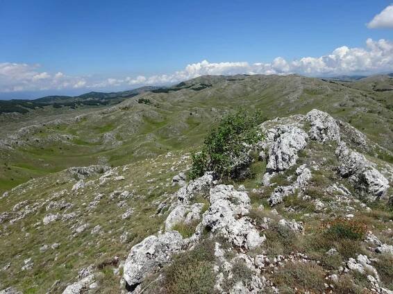 Tomoros peak in Galicica National Park (12 km)