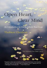 Book cover of Open Heart Clear Mind