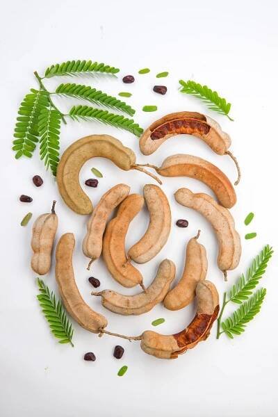 Tamarind