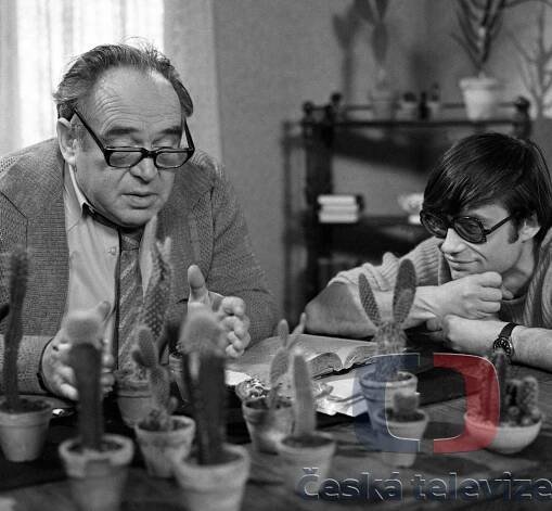 Klient (1974)