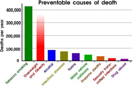 File:Preventable causes of death.svg - Wikimedia Commons