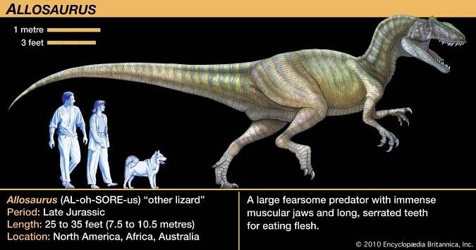Theropod