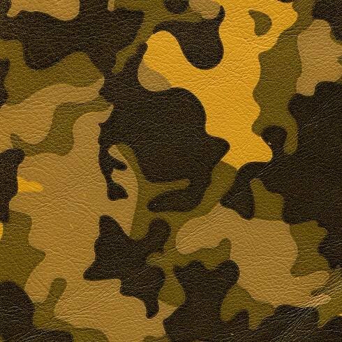 CAMOUFLAGE | BUTTERSCOTCH