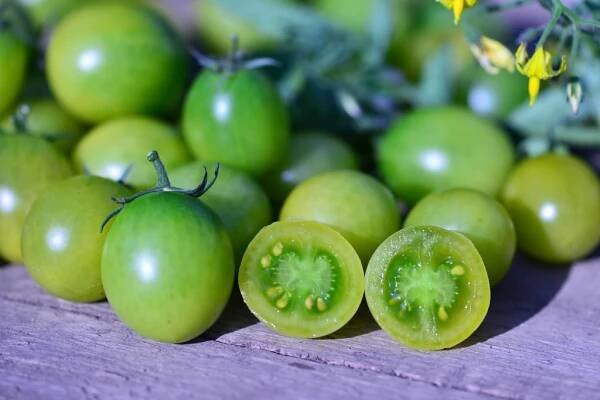 SUNGREEN F1