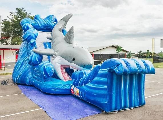 Shark Water Slide 