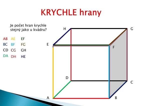 PPT - DRUHY TĚLES PowerPoint Presentation, free download - ID:3713551