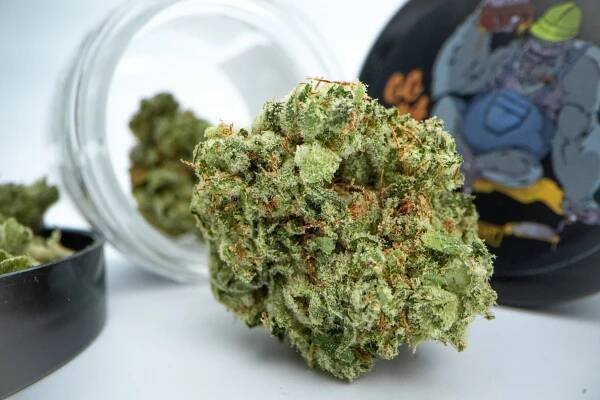 Flower — Legarrette Blounts Cannabis