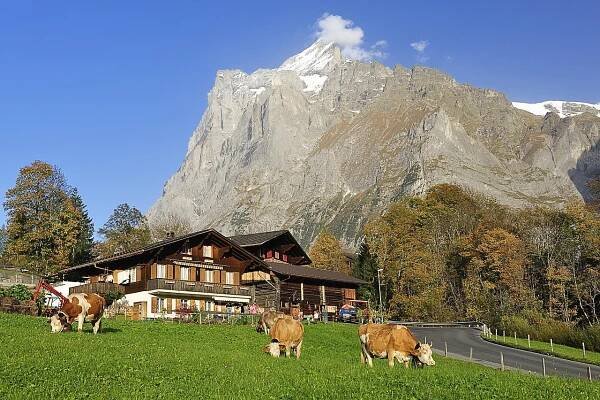 Grindelwald, Statek, Horská Turistika