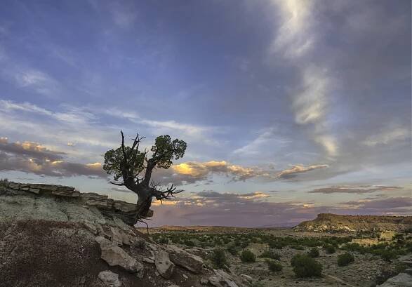 Súbor:Ojito Wilderness Sunset.jpg