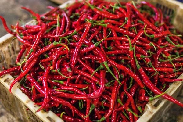 Jak správně pracovat s chilli papričkami?