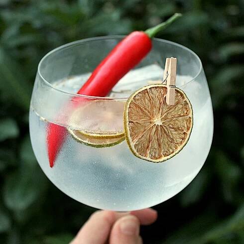 TIP NA DRINK: Bombay Sapphire & Kinley s limetkou, chilli papričkou a citronovou trávou - ginstonikem.cz