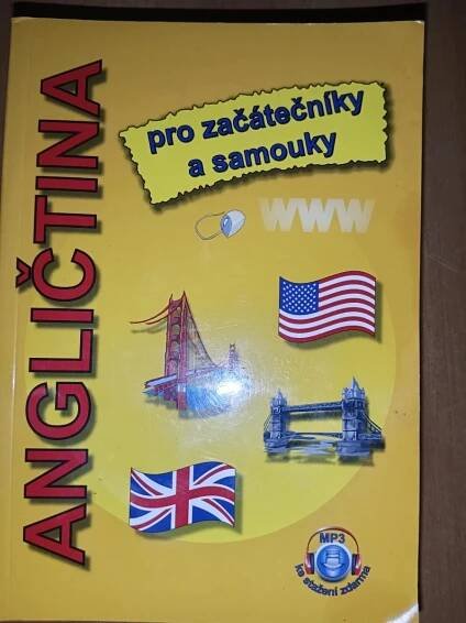 ANGLIČTINA : pro začátečníky a samouky | Aukro