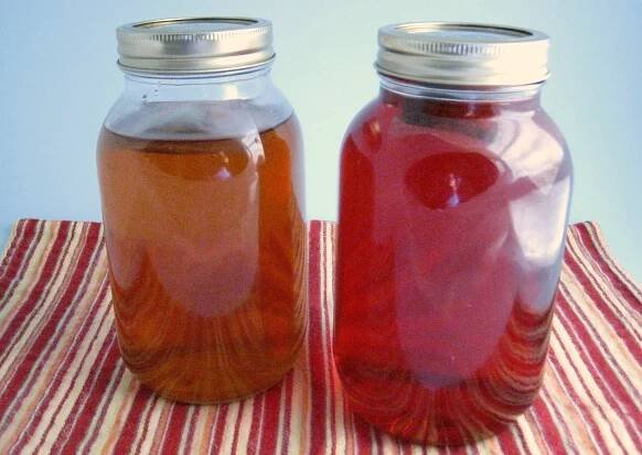 Kombucha Frequently Asked Questions