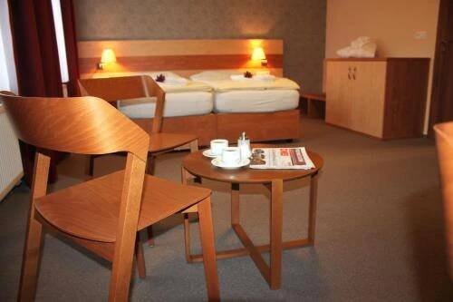 Postel nebo postele na pokoji v ubytování Hotel Toč