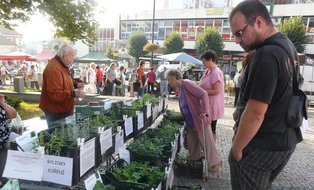Farmáři nabídkou produktů oblékají trhy do barev podzimu