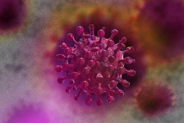 Malaria Drug Chloroquine Does Not Inhibit COVID-19 Infection in Human Lung Cells