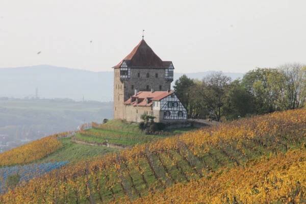 Ruine Helfenberg, Annasee und Burg Wildeck – Schwäbischer Albverein Freiberg